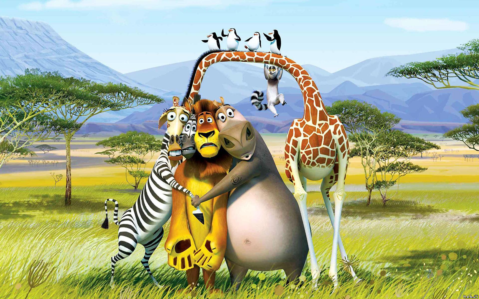 Fonds d'cran Dessins Anims Madagascar 2 