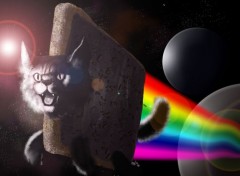  Digital Art Nyan Cat