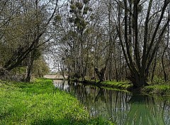  Nature Cour d'eau