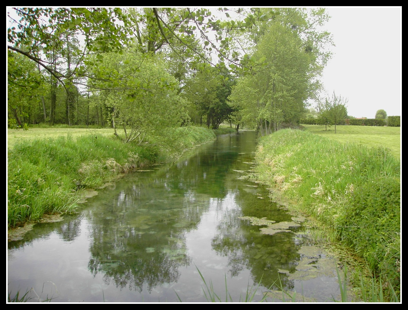 Wallpapers Nature Canals Marais de Sissonne