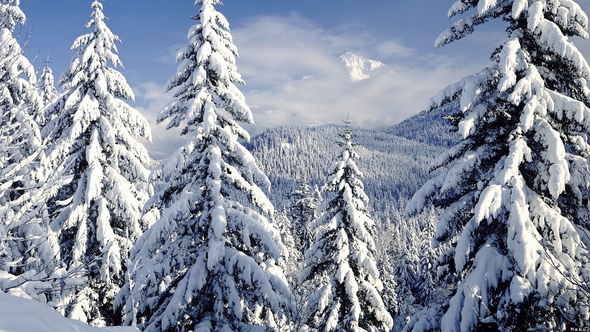 Fonds d'cran Nature Saisons - Hiver 