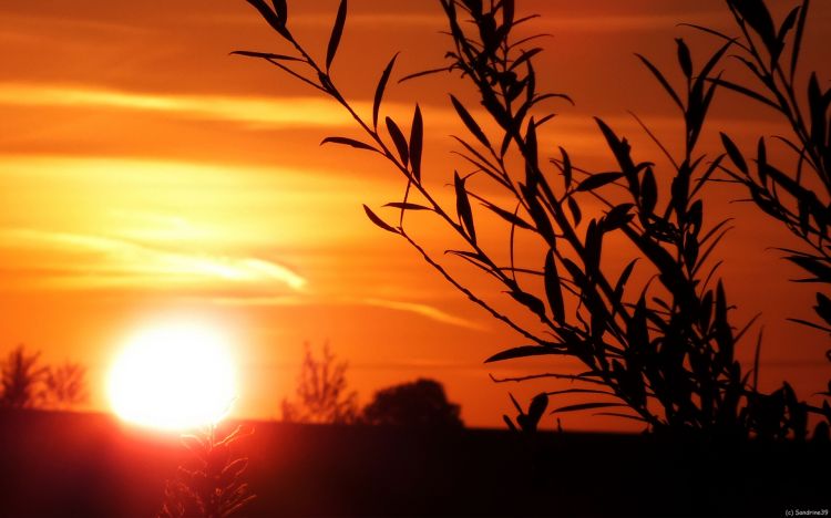 Fonds d'cran Nature Couchers et levers de Soleil Crpuscule