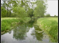  Nature Marais de Sissonne