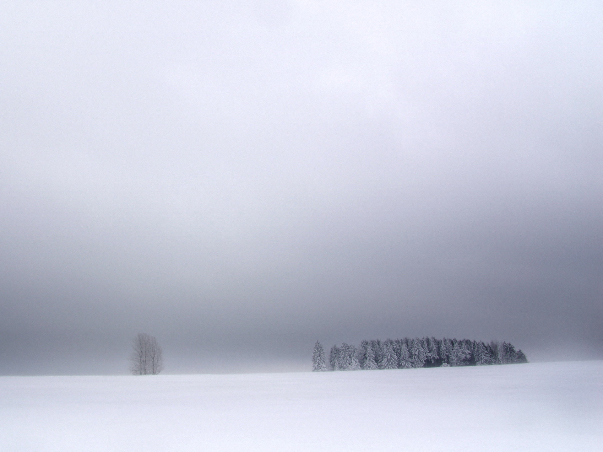 Fonds d'cran Nature Saisons - Hiver 