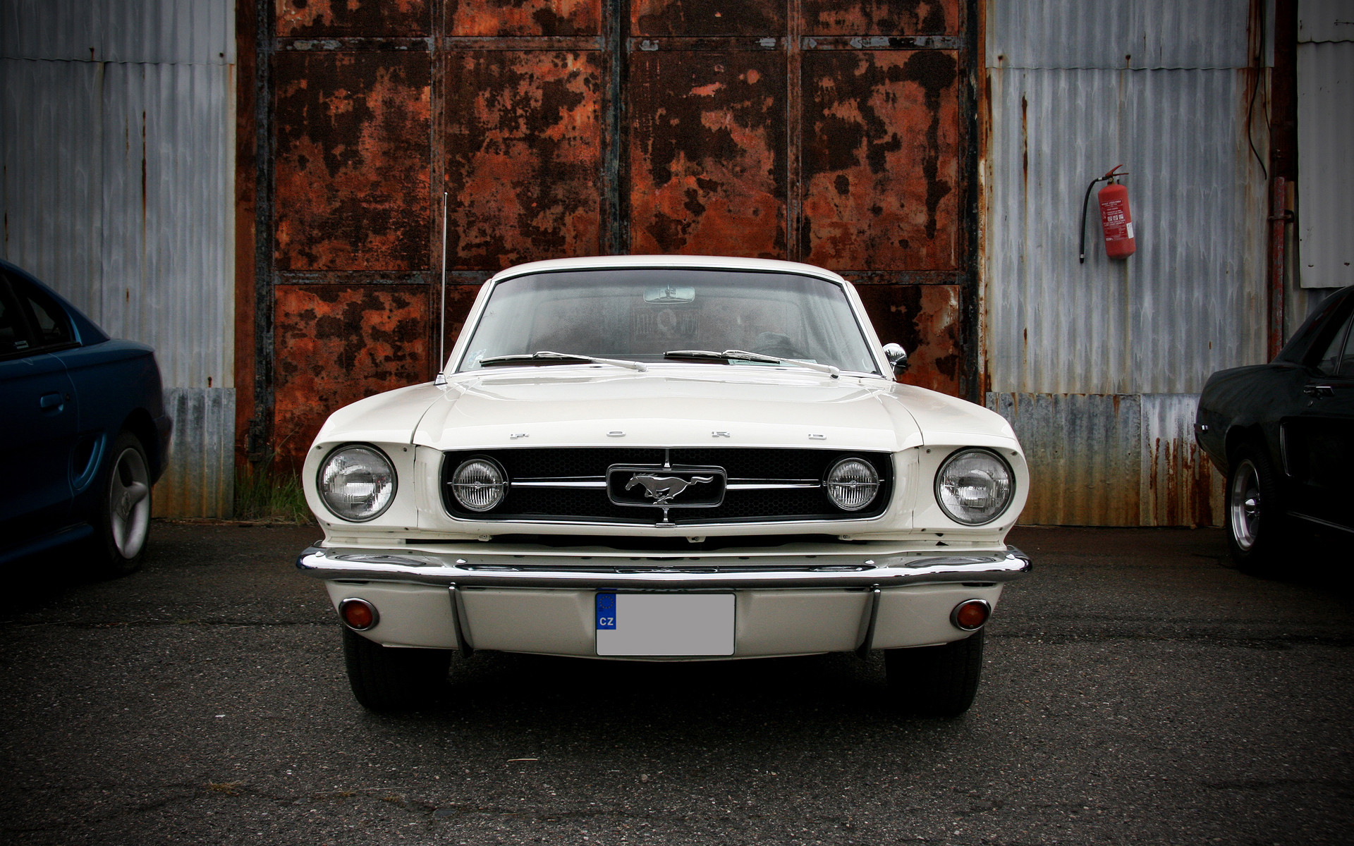 Fonds d'cran Voitures Mustang 