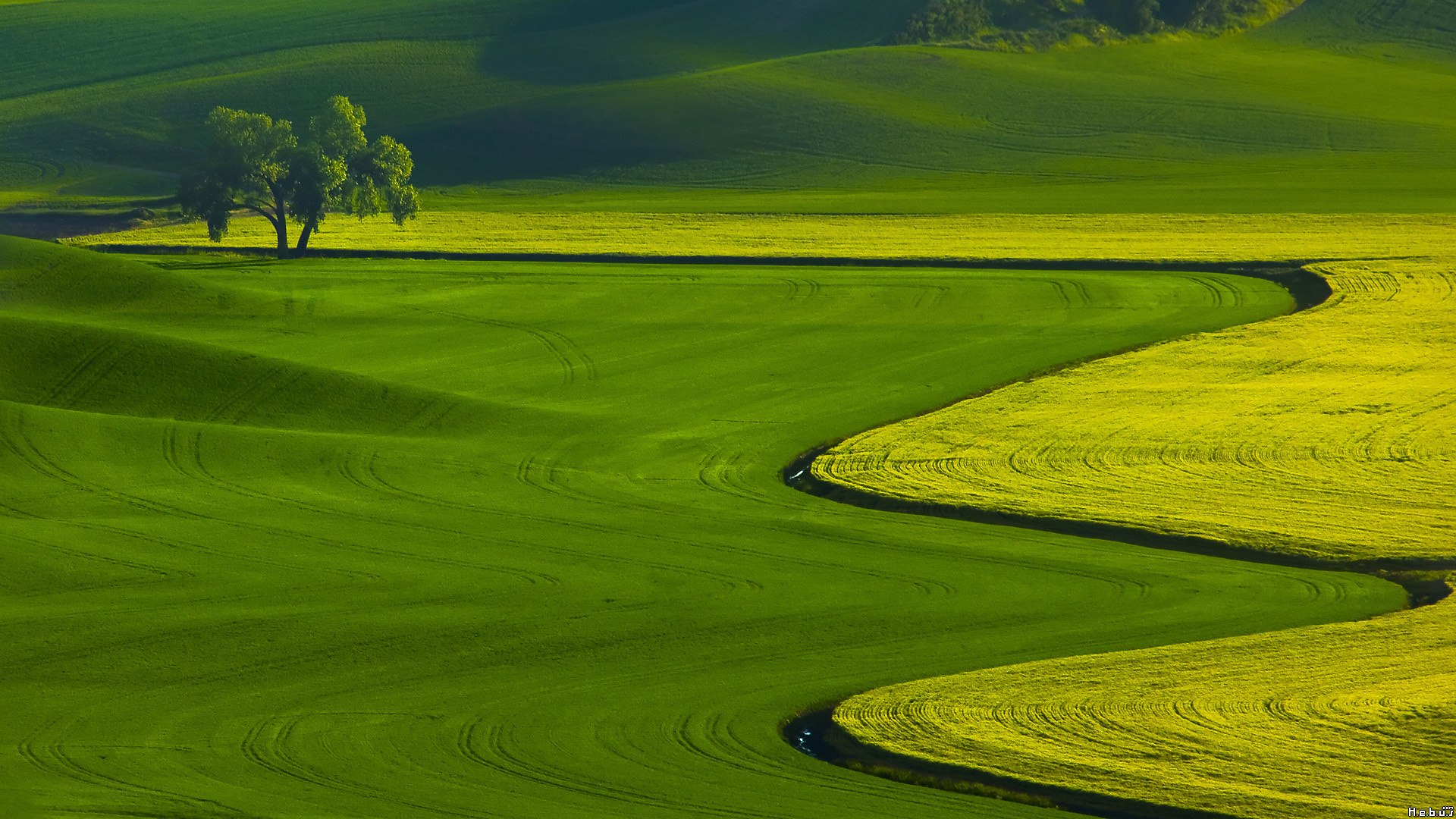 Wallpapers Nature Fields 