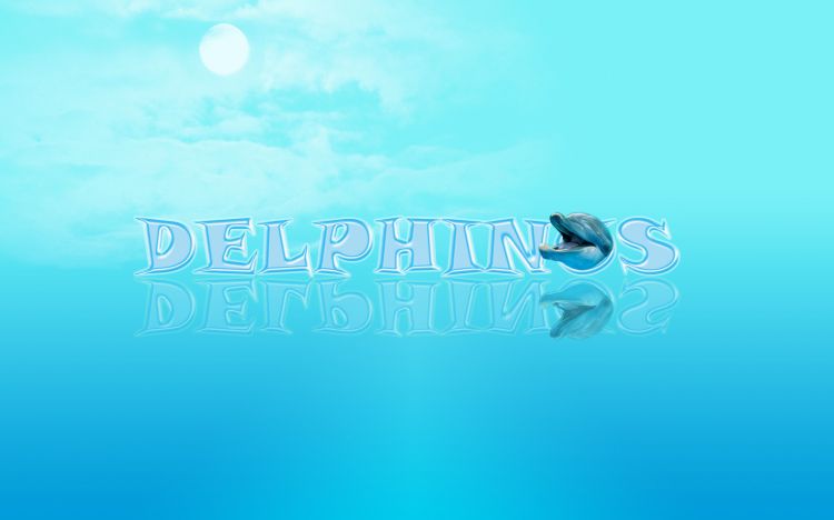 Fonds d'cran Animaux Vie marine - Dauphins delphinus