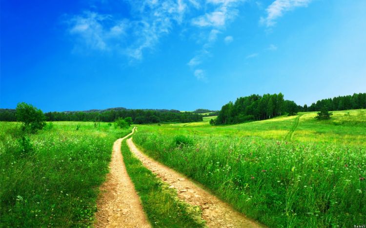 Wallpapers Nature Paths Wallpaper N300466