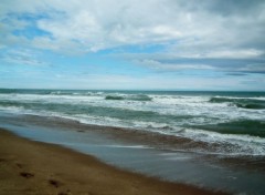  Nature Plage de l'Herault