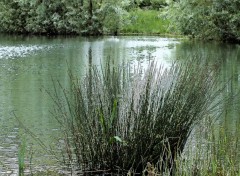  Nature Reflets