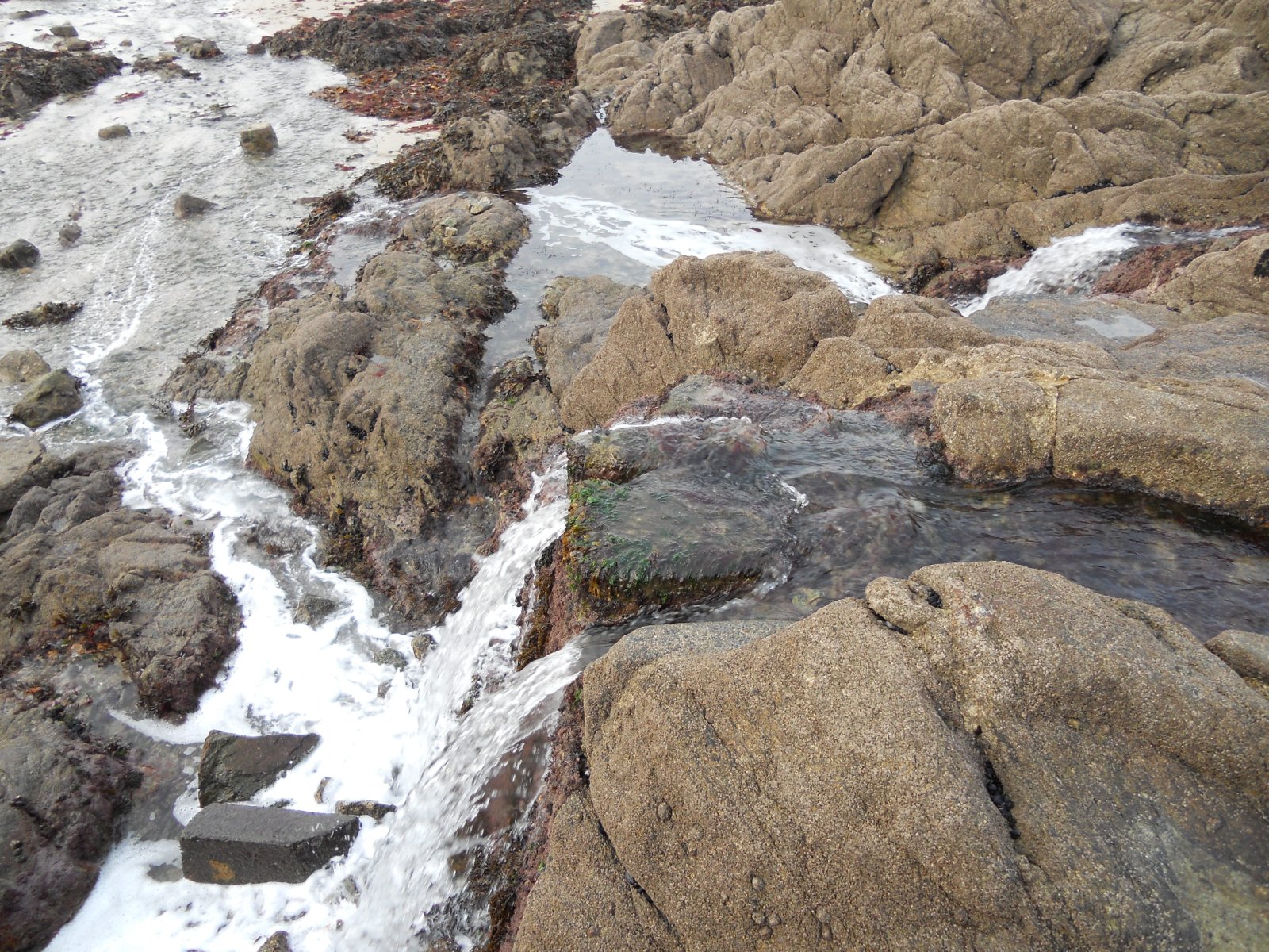 Fonds d'cran Nature Mers - Ocans - Plages 