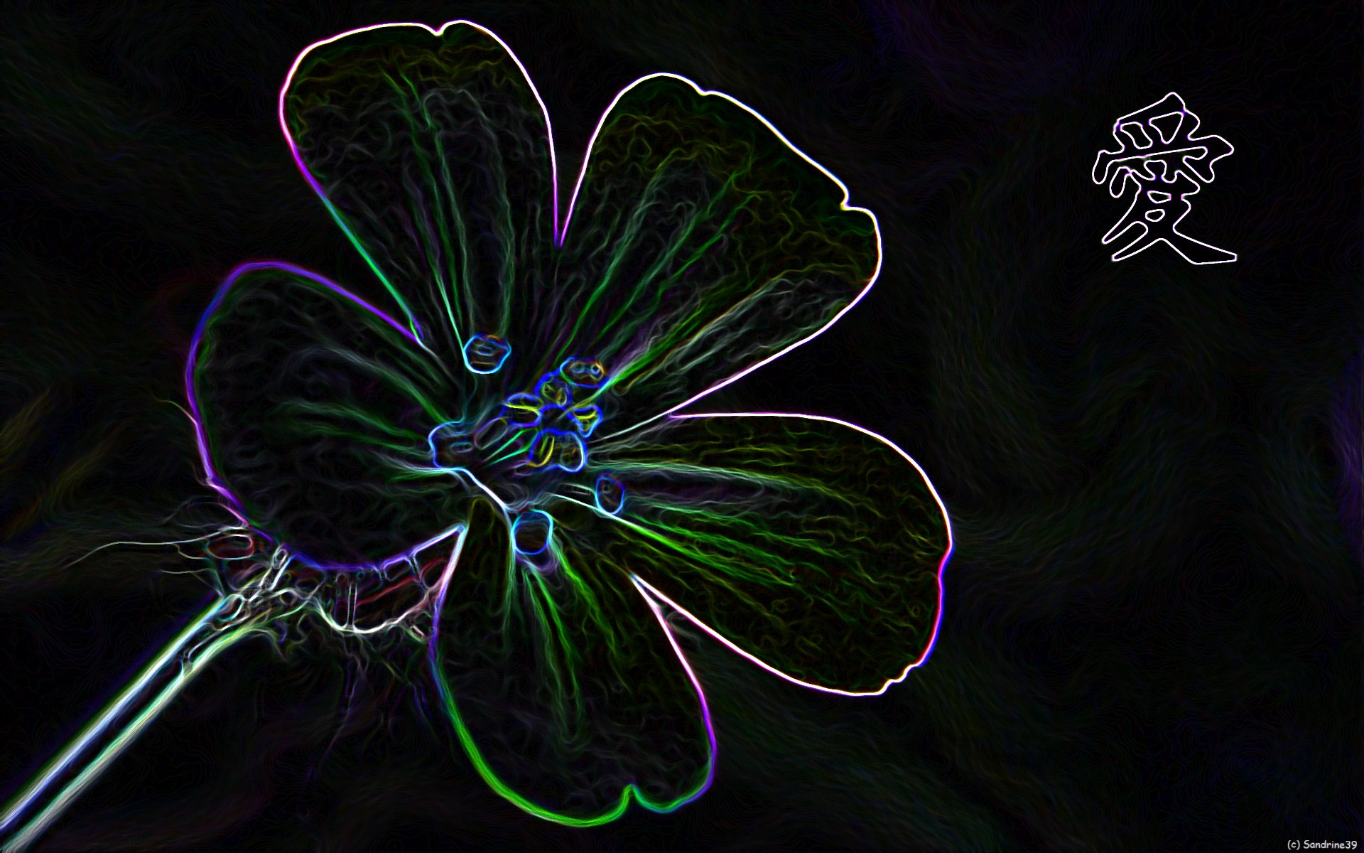 Wallpapers Digital Art Nature - Flowers pense 