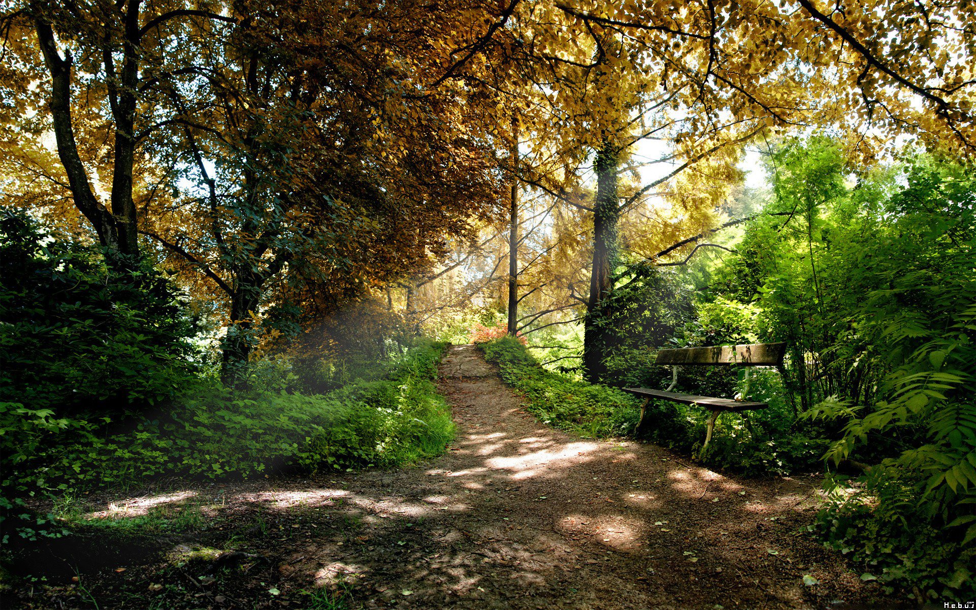 Fonds d'cran Nature Chemins 