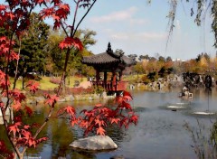  Nature Petit Parc   Daejeon (Core du Sud)