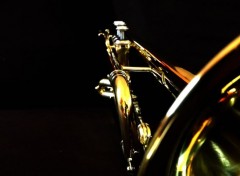  Music les cuivres : la trompette