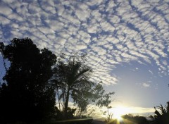  Nature Couch de soleil - St-Benot 974