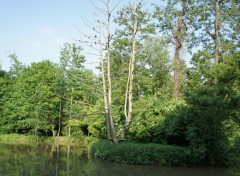  Nature L' ile aux oiseaux  et ragondins sur l' Yerres  Brunoy 91