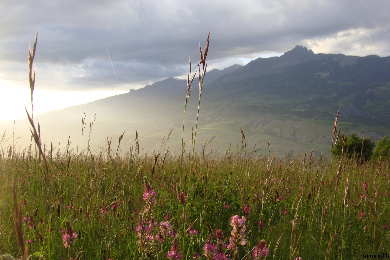 Fonds d'cran Nature Herbes un tour autour du lac