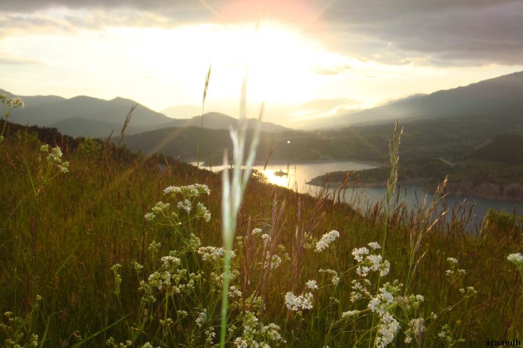 Fonds d'cran Nature Lacs - Etangs un tour autour du lac