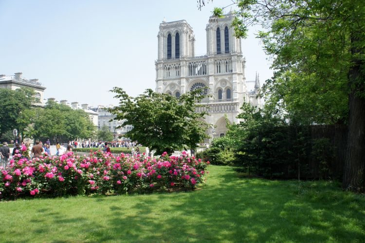 Wallpapers Constructions and architecture Religious Buildings Cathdrale Notre Dame de Paris  (Photo mai-2012)