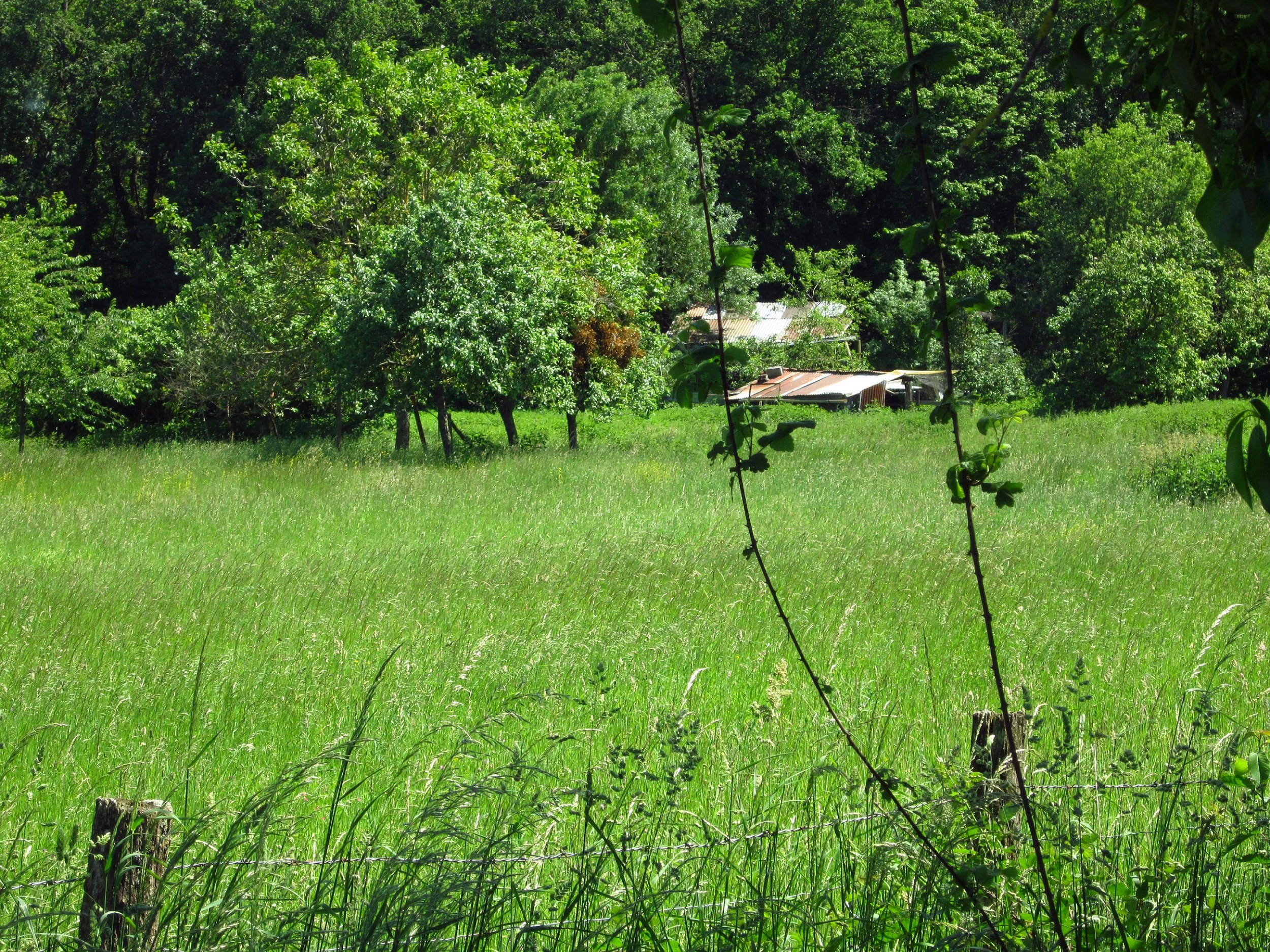 Fonds d'cran Nature Campagne 