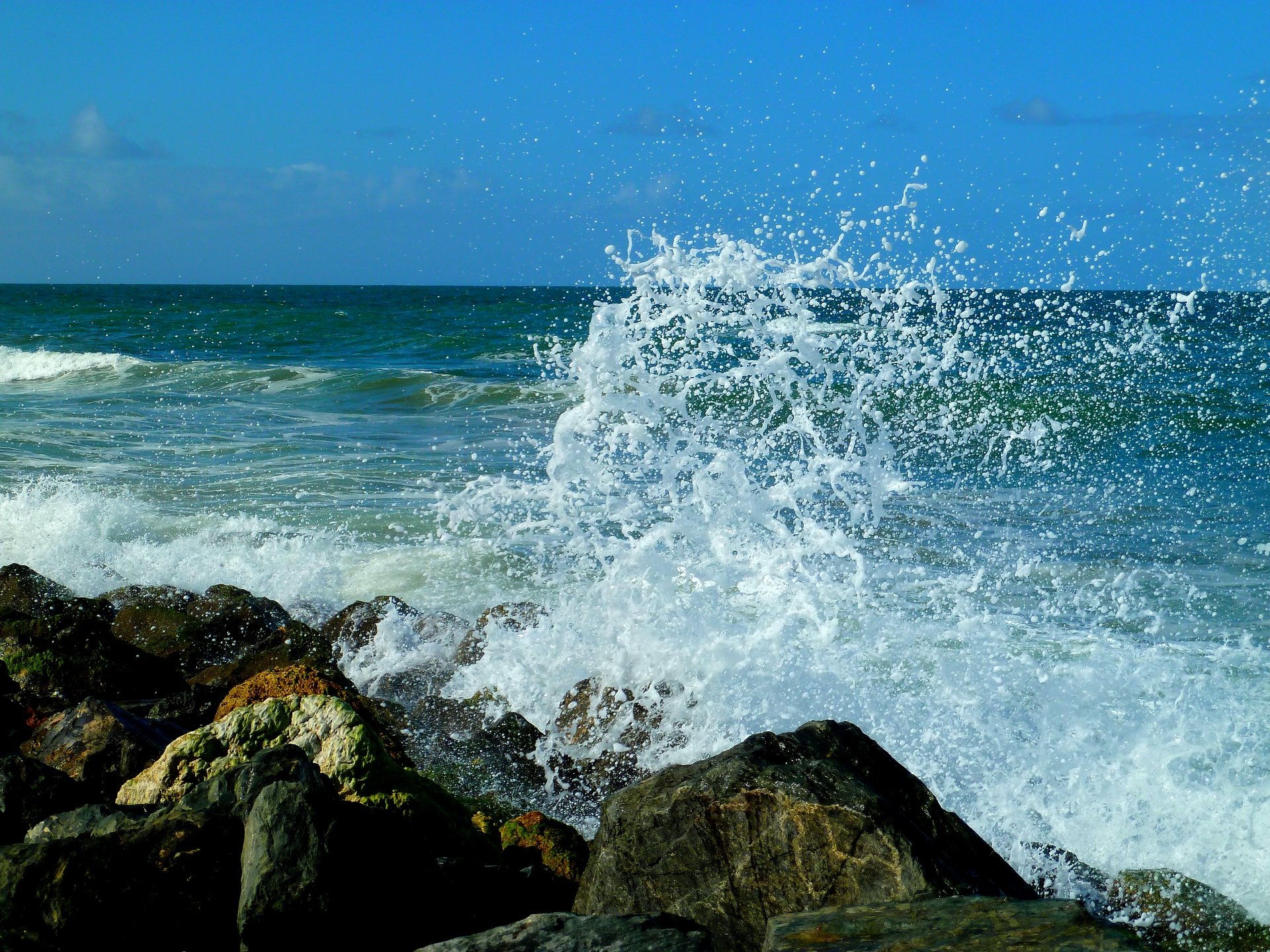 Fonds d'cran Nature Mers - Ocans - Plages Belle mousse