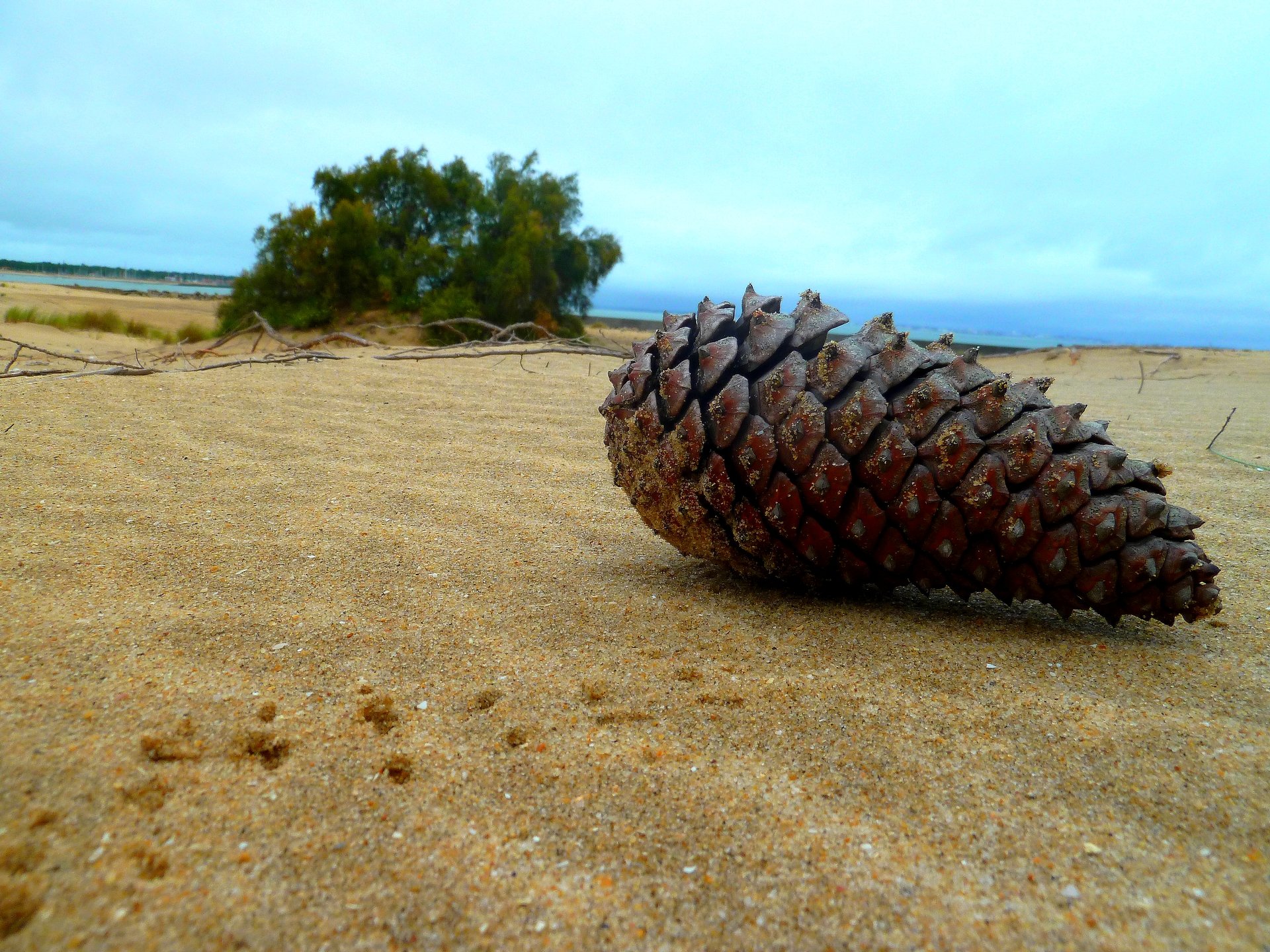 Fonds d'cran Nature Mers - Ocans - Plages Seul sur la plage