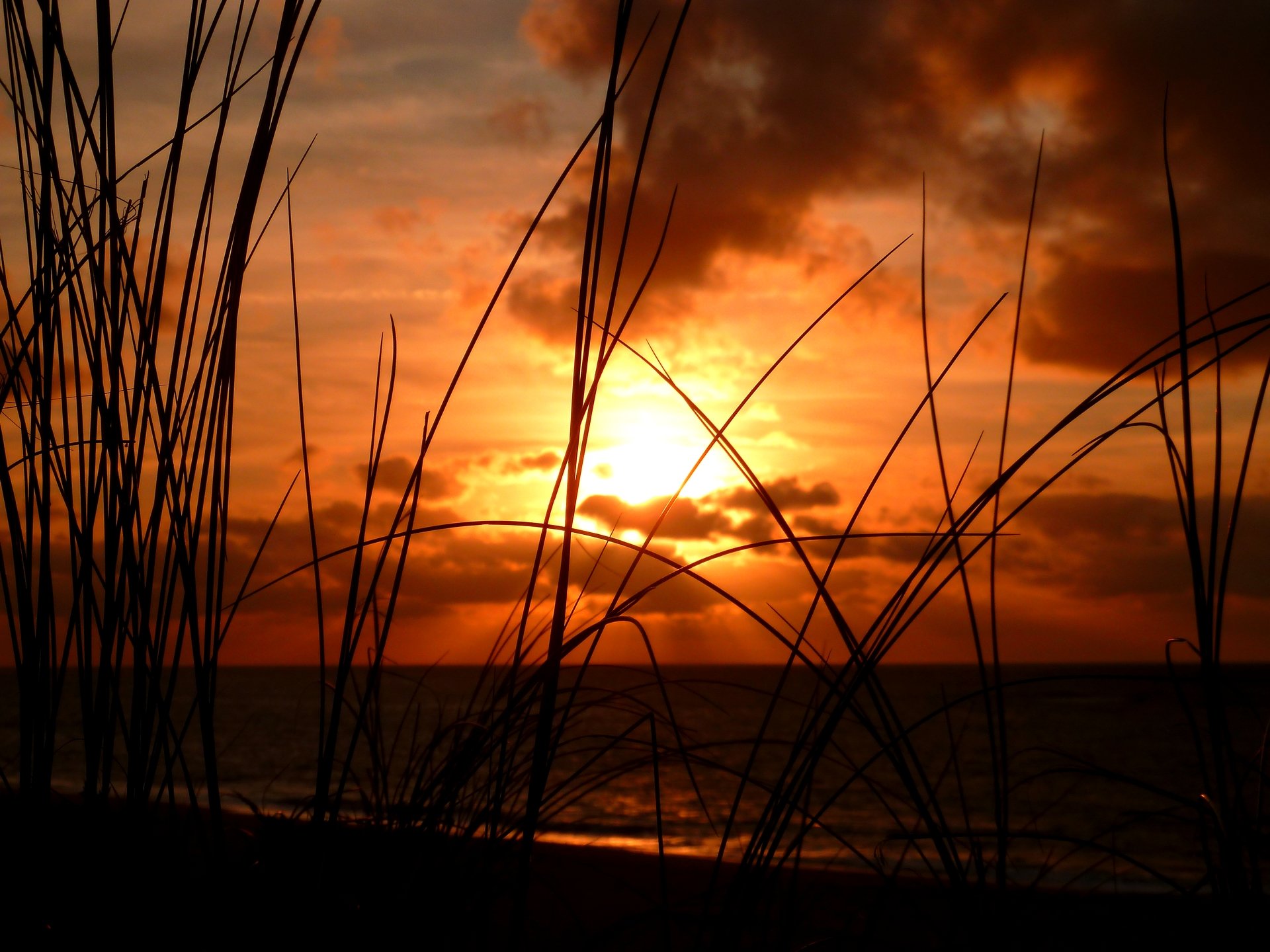 Fonds d'cran Nature Mers - Ocans - Plages Couch de soleil