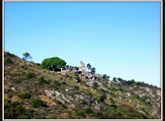  Nature sur la colline