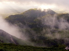  Nature Brume