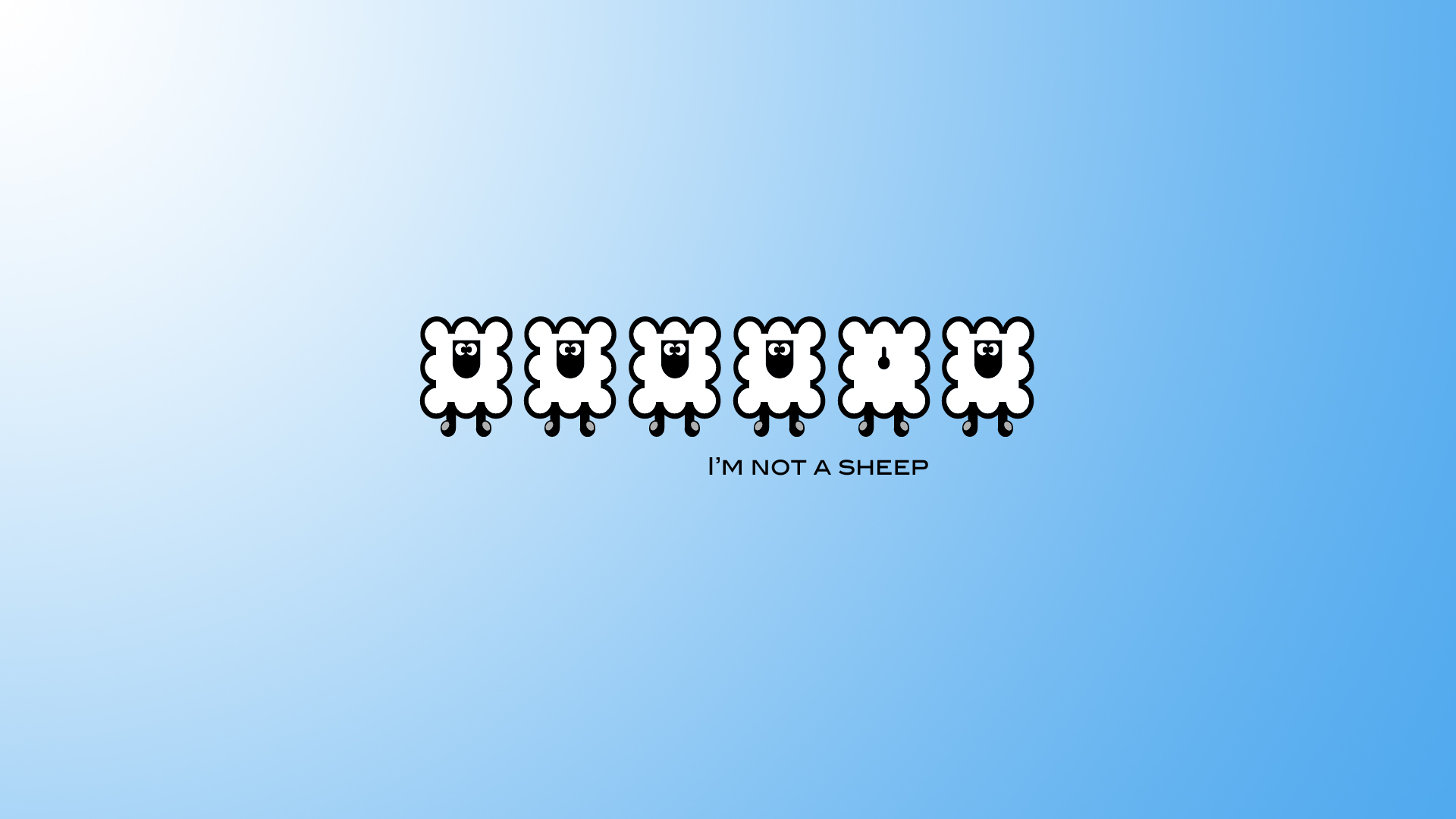 Wallpapers Humor Animals Not sheep