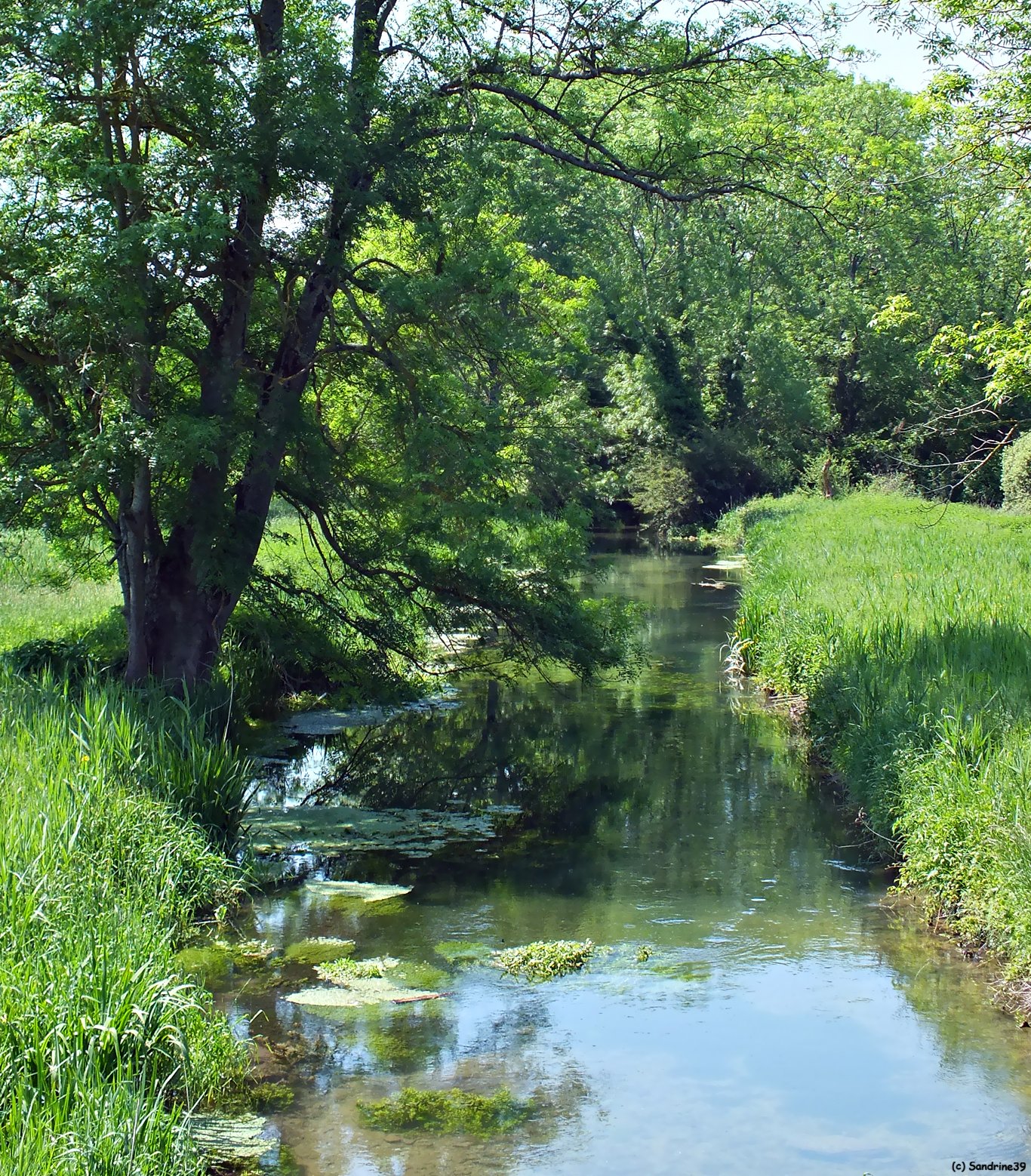 Wallpapers Nature Rivers - Torrents Petit coin de pche