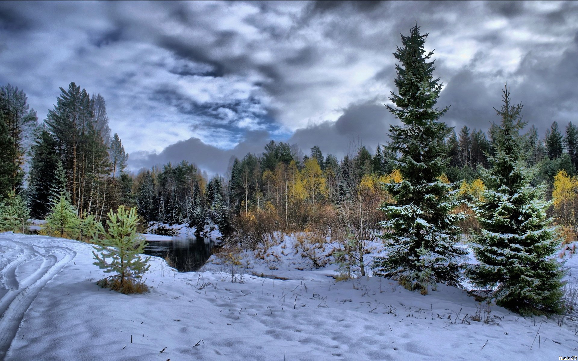 Fonds d'cran Nature Saisons - Hiver 