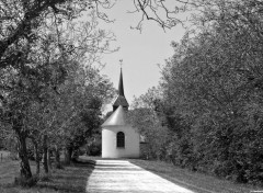  Nature Petite chapelle