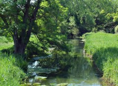  Nature Petit coin de pche