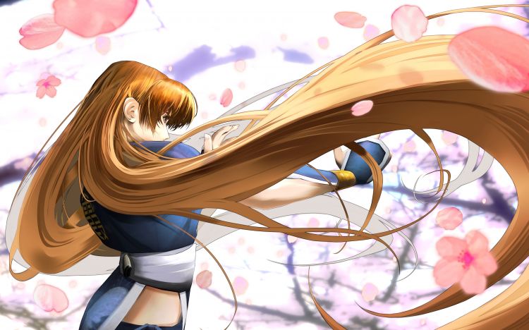 Wallpapers Video Games Dead or Alive Dimension Kasumi Dead or Alive Dimension