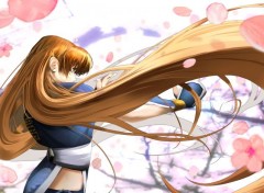  Video Games Kasumi Dead or Alive Dimension