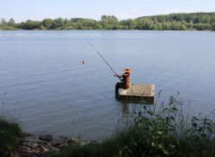  Nature lac de bambois belgique