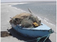  Boats Bateau de pche