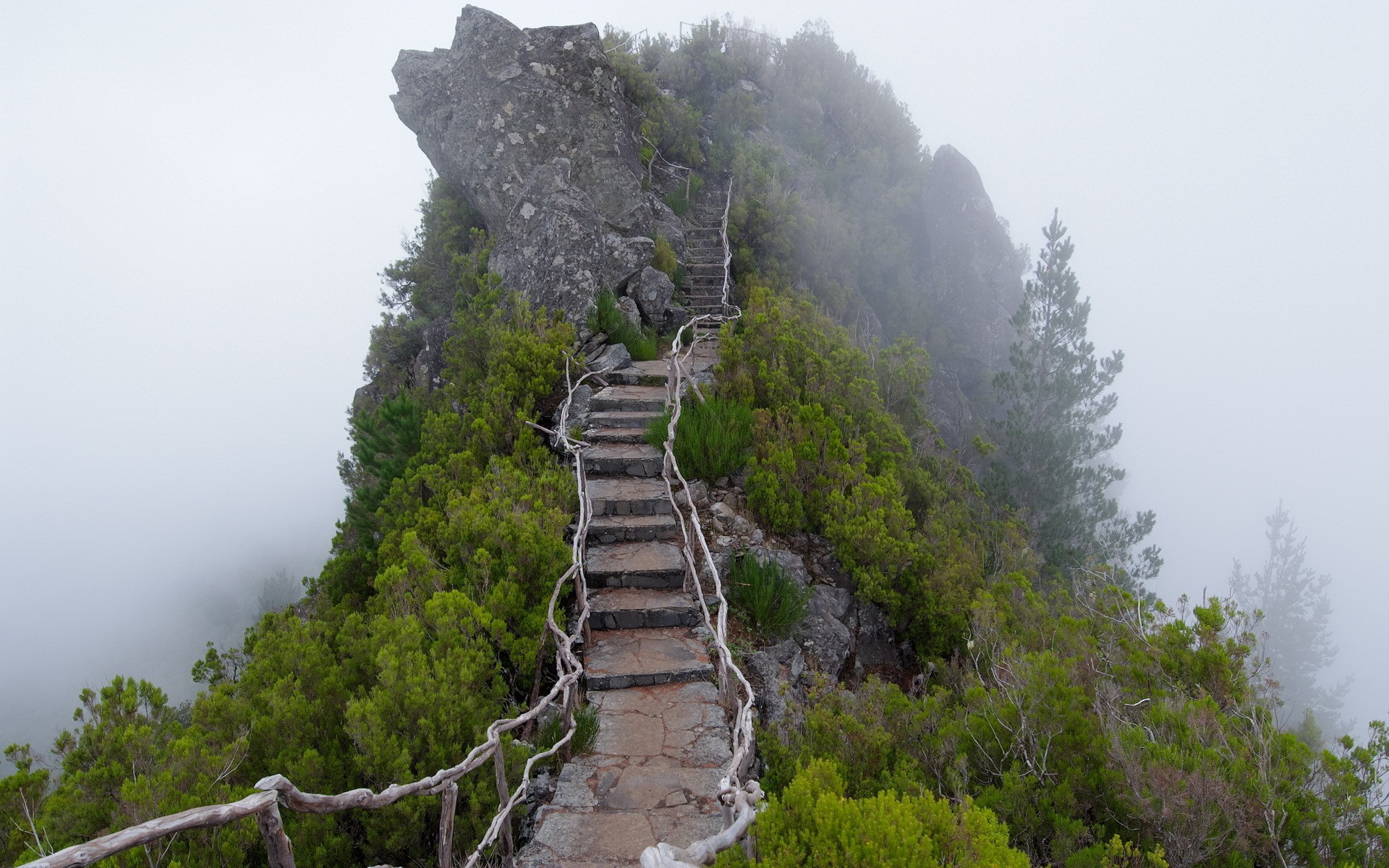 Wallpapers Nature Paths 