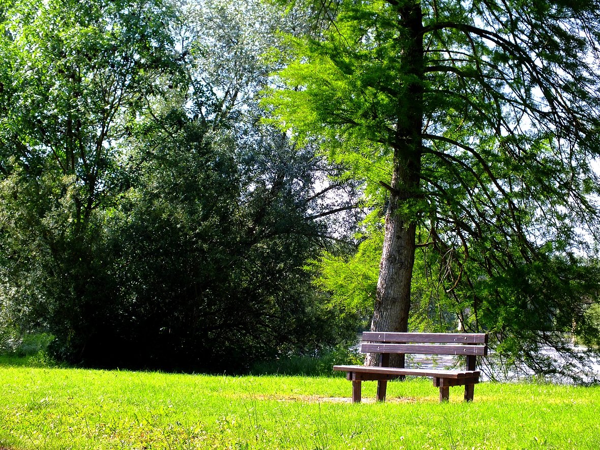 Fonds d'cran Nature Parcs - Jardins coin paisible