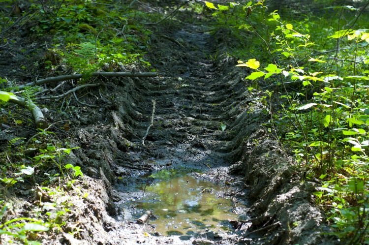 Fonds d'cran Nature Divers - Compositions Empreinte tracteur