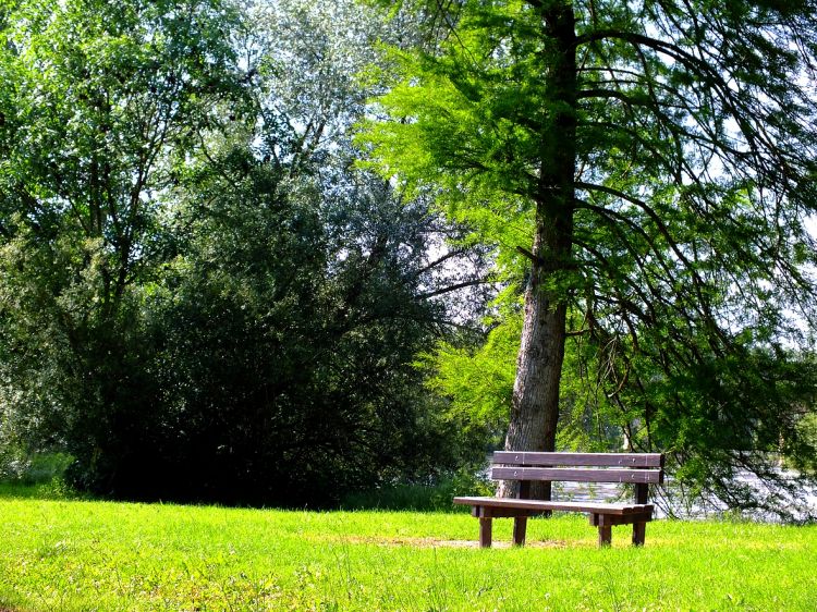 Fonds d'cran Nature Parcs - Jardins coin paisible