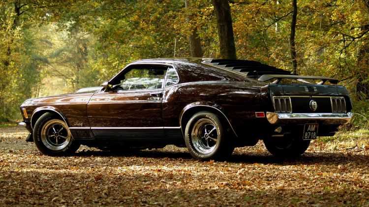 Fonds d'cran Voitures Mustang Wallpaper N301578