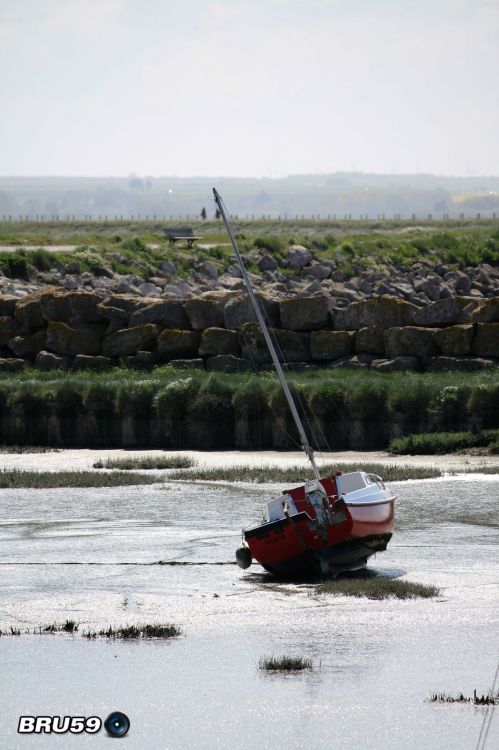 Wallpapers Trips : Europ France > Picardie Le Crotoy - Bteau  mare basse