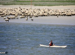  Voyages : Europe Saint Valery sur Somme - Agneaux et Kayak