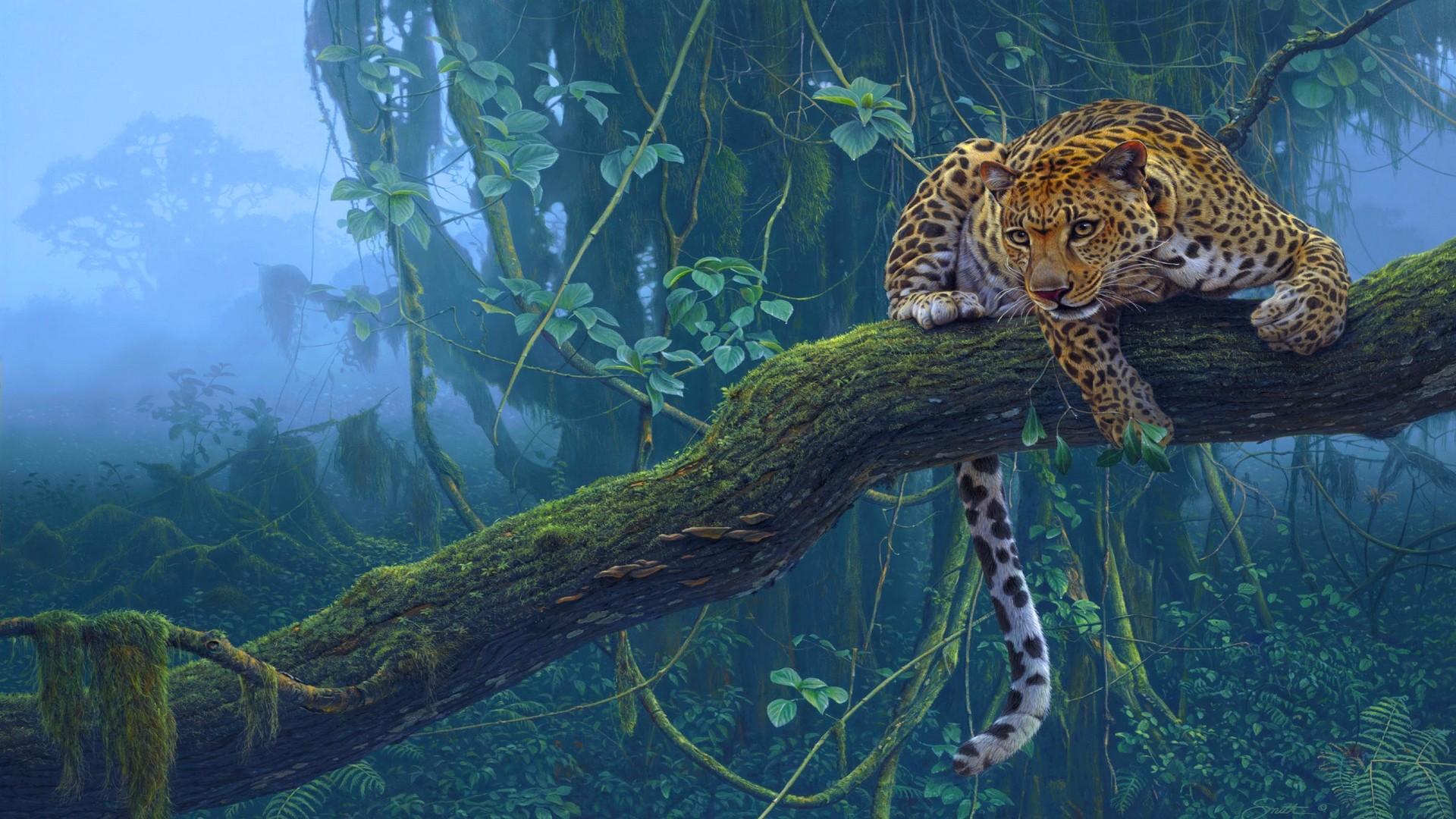 Wallpapers Animals Felines - Leopards 