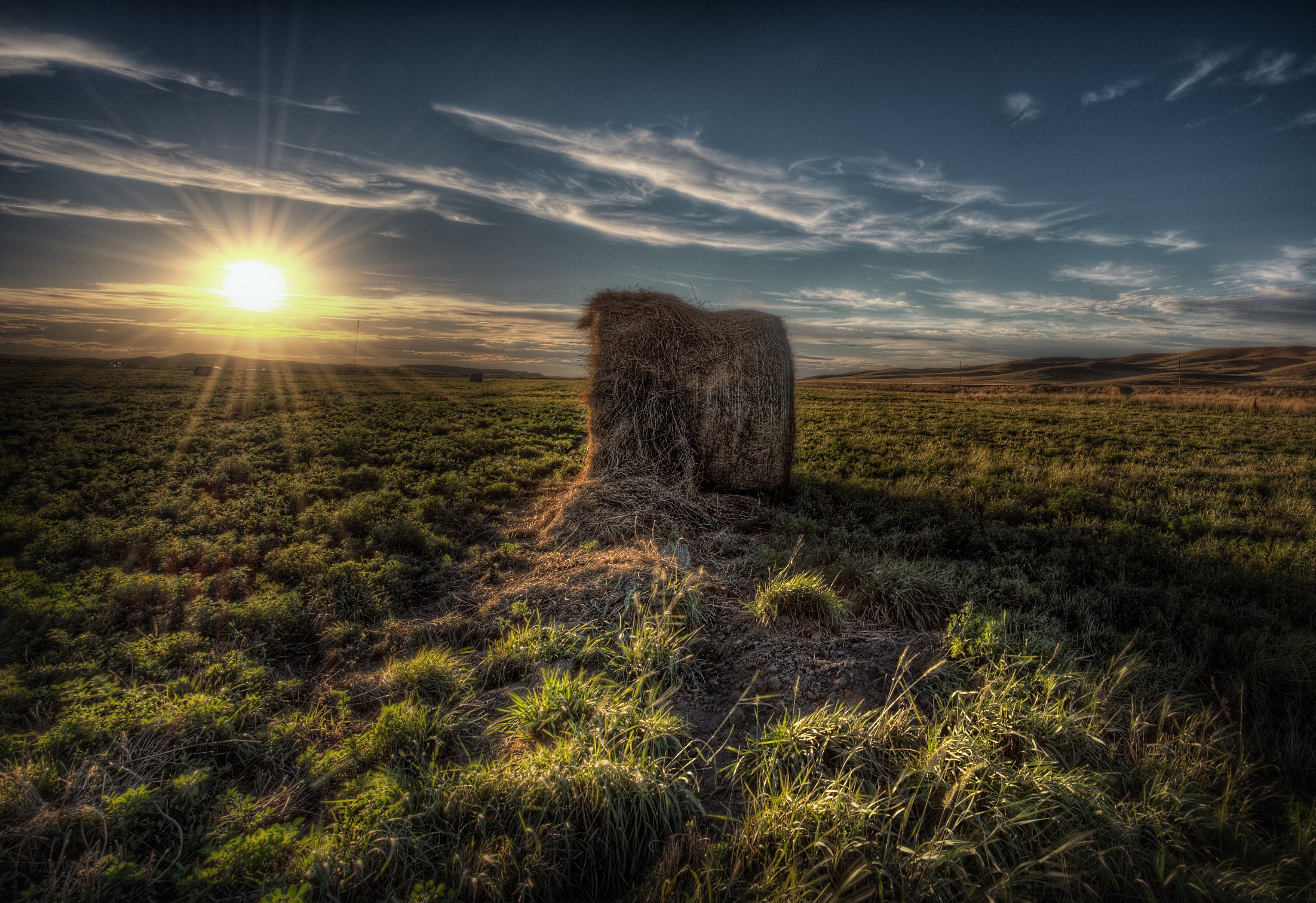 Fonds d'cran Nature Champs - Prairies 