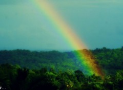  Nature foot of the rainbow