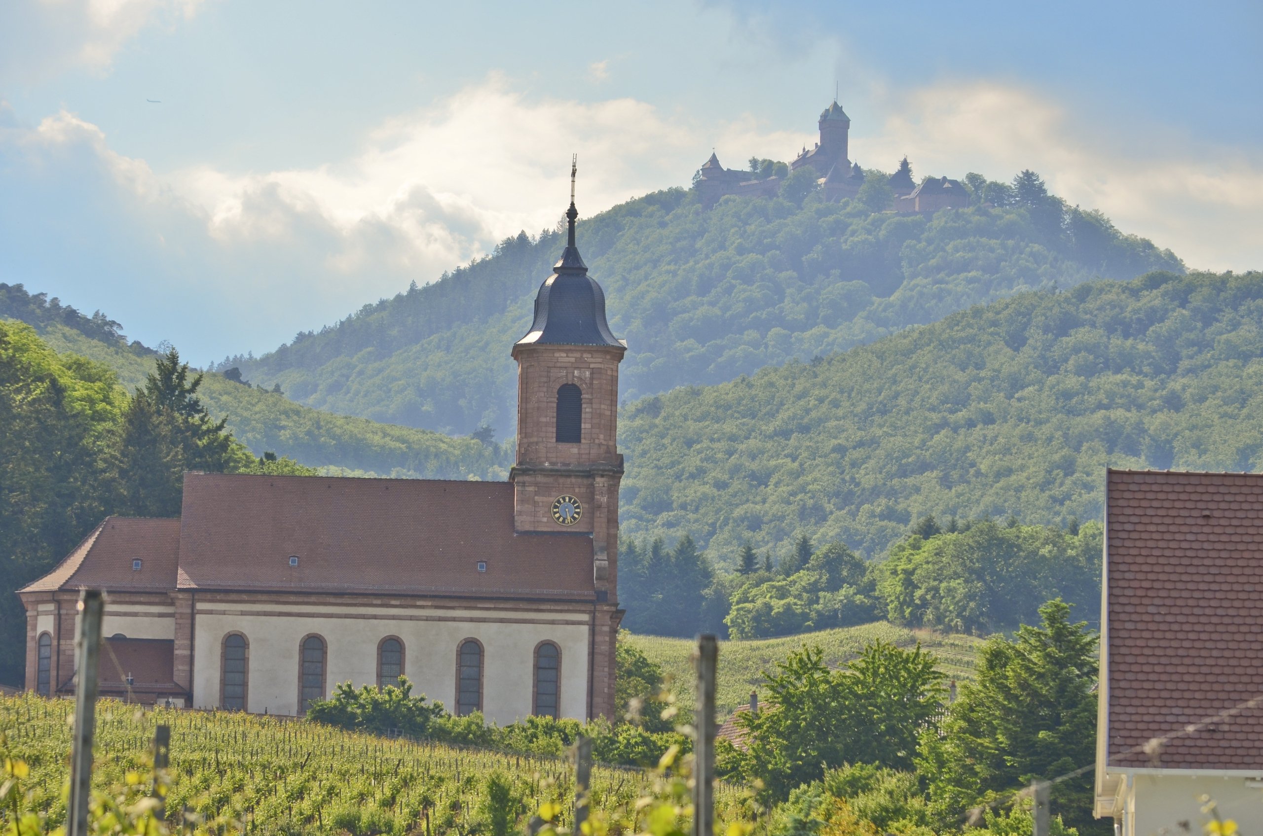 Fonds d'cran Nature Vignes - Vignobles 